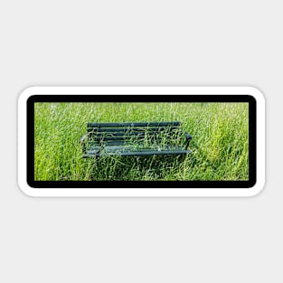 Bench in the grass photo design Sticker